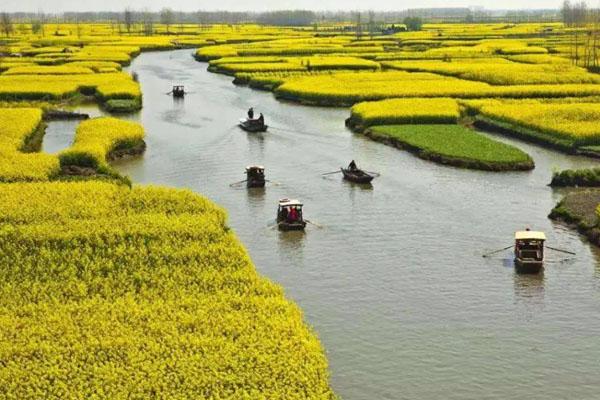 2024興化千垛景區(qū)最新開放時間 2024興化千垛景區(qū)最新開放時間