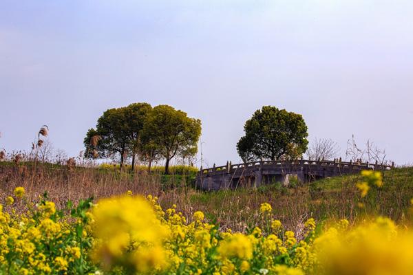 蘇州春季賞花景點(diǎn)有哪些 蘇州春季賞花景點(diǎn)有哪些