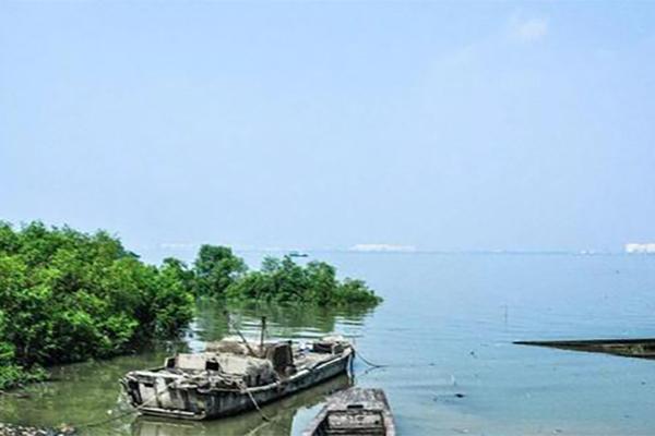 廣州海鷗島游玩攻略一日游 廣州海鷗島游玩攻略一日游