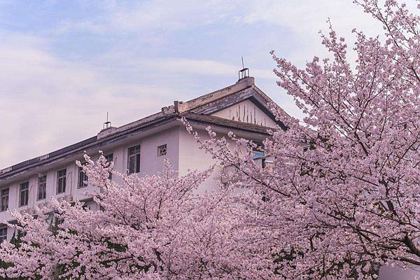 2024武大櫻花預(yù)約官網(wǎng)地址、門票及開(kāi)放時(shí)間介紹