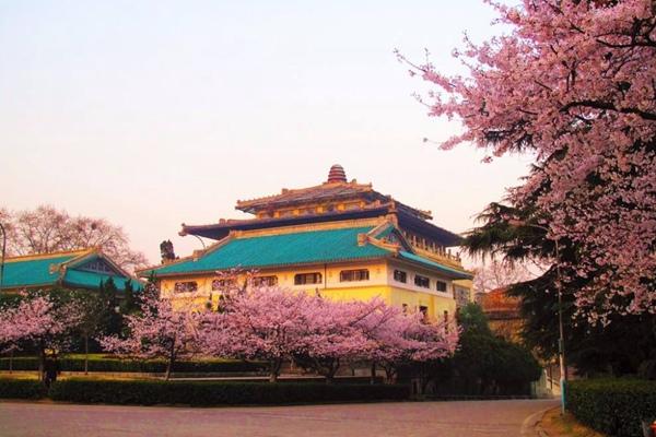 2024武大櫻花預(yù)約官網(wǎng)地址、門票及開(kāi)放時(shí)間介紹