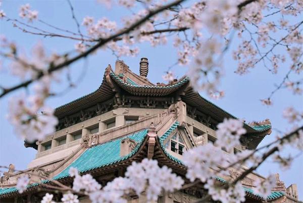 2024年武大櫻花預(yù)約入口+時(shí)間+門票