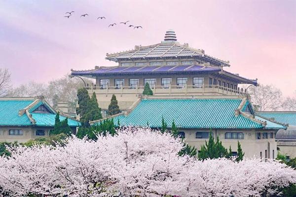 2024年武大櫻花預(yù)約入口+時(shí)間+門票