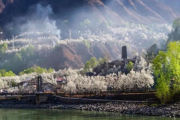 2024金川梨花節(jié)在哪里 2024金川梨花節(jié)在哪里