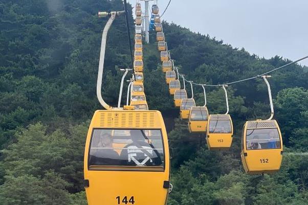 大連森林動(dòng)物園門票免費(fèi)政策 大連森林動(dòng)物園門票免費(fèi)政策