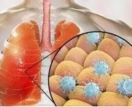 1709552858130201.png 圖片5.png