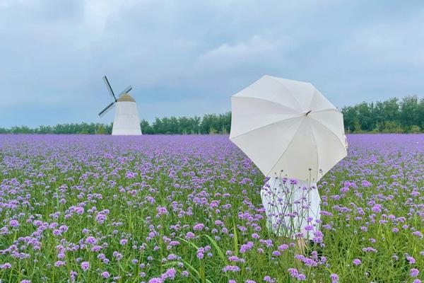 望城春游最適合去的地方 望城春游最適合去的地方