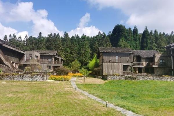 仙女山森林公園自駕攻略 仙女山森林公園自駕攻略