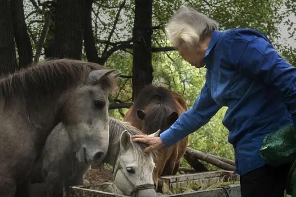 羅爺爺?shù)膭?dòng)物園在哪里 羅爺爺?shù)膭?dòng)物園在哪里