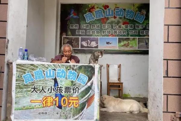 羅爺爺?shù)膭?dòng)物園在哪里 羅爺爺?shù)膭?dòng)物園在哪里