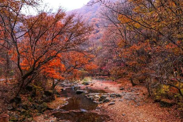 2024本溪關(guān)門(mén)山最新開(kāi)放時(shí)間 2024本溪關(guān)門(mén)山最新開(kāi)放時(shí)間