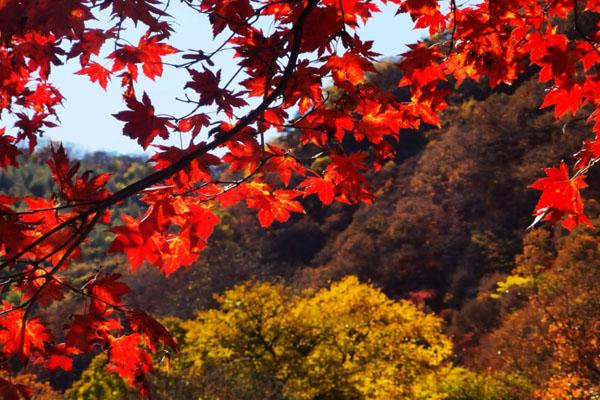 2024本溪關(guān)門(mén)山最新開(kāi)放時(shí)間 2024本溪關(guān)門(mén)山最新開(kāi)放時(shí)間