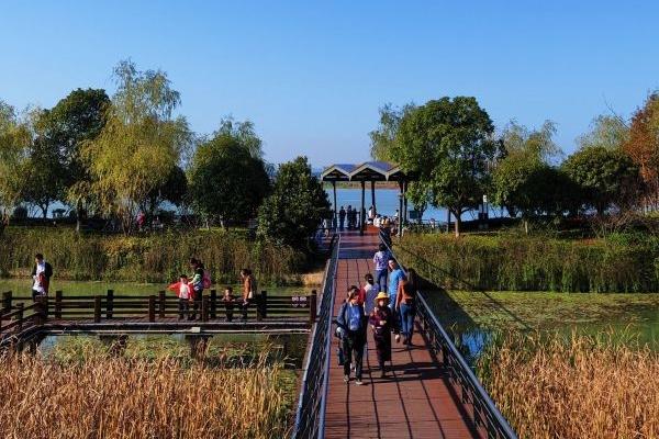 長(zhǎng)沙周邊踏青賞花的地方有哪些