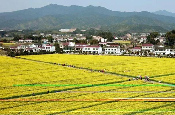 長(zhǎng)沙周邊踏青賞花的地方有哪些