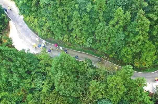 江西春季旅游最佳去處 江西春季旅游最佳去處