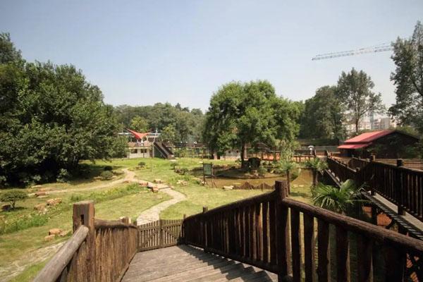 南京紅山森林動(dòng)物園游玩攻略 一日游攻略 南京紅山森林動(dòng)物園游玩攻略 一日游攻略