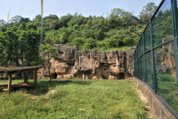 長沙生態(tài)動物園游玩攻略 一日游最佳路線 長沙生態(tài)動物園游玩攻略 一日游最佳路線
