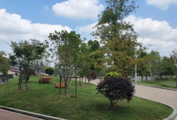 上海青浦網(wǎng)紅園林有哪些 上海青浦網(wǎng)紅園林有哪些