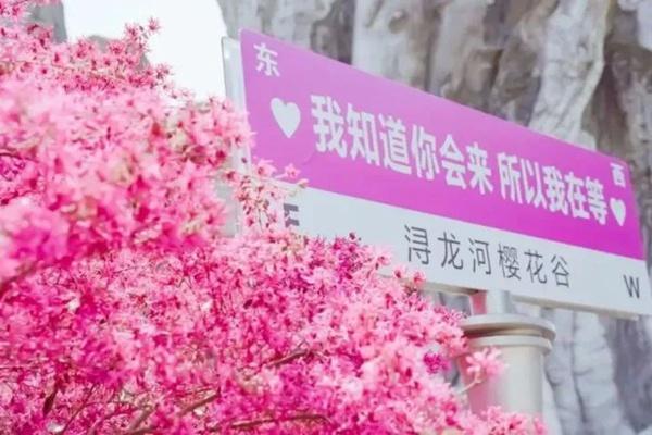 2024潯龍河櫻花谷門票優(yōu)惠政策指南 2024潯龍河櫻花谷門票優(yōu)惠政策指南