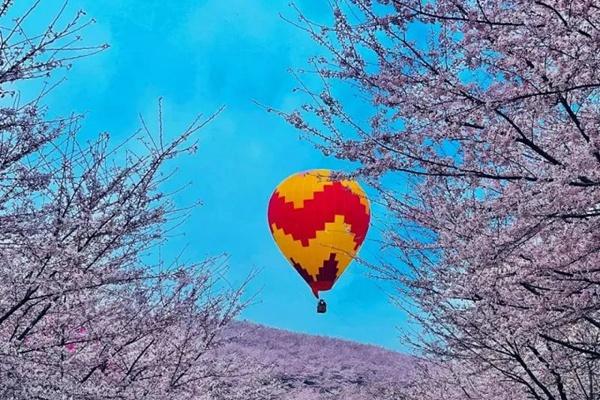 2024潯龍河櫻花谷門票優(yōu)惠政策指南 2024潯龍河櫻花谷門票優(yōu)惠政策指南