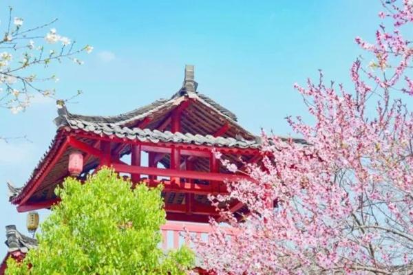 2024潯龍河櫻花谷門票優(yōu)惠政策指南 2024潯龍河櫻花谷門票優(yōu)惠政策指南