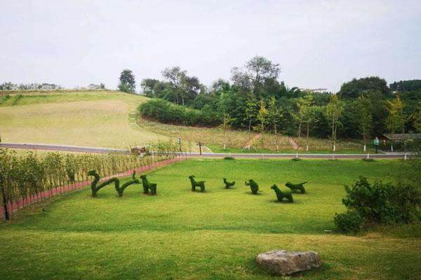 川南大草原旅游攻略 一日游攻略 川南大草原旅游攻略 一日游攻略