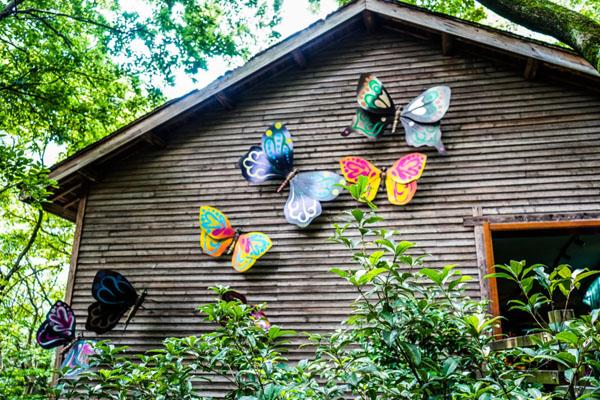 天目湖山水園一日游攻略 附最佳游玩路線 天目湖山水園一日游攻略 附最佳游玩路線