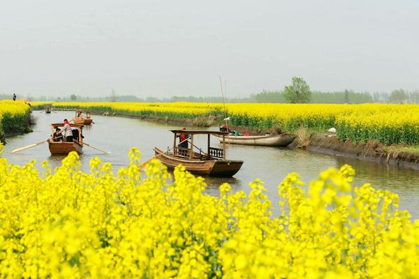 2024興化千垛景區(qū)門票價格