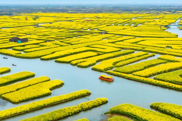 2024興化千垛景區(qū)門票價格