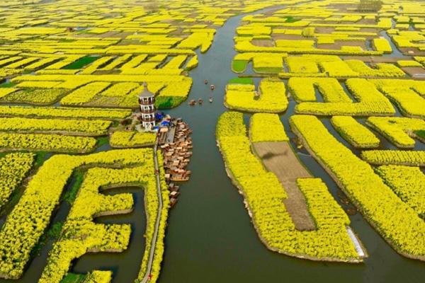 2024興化千垛景區(qū)門票價格