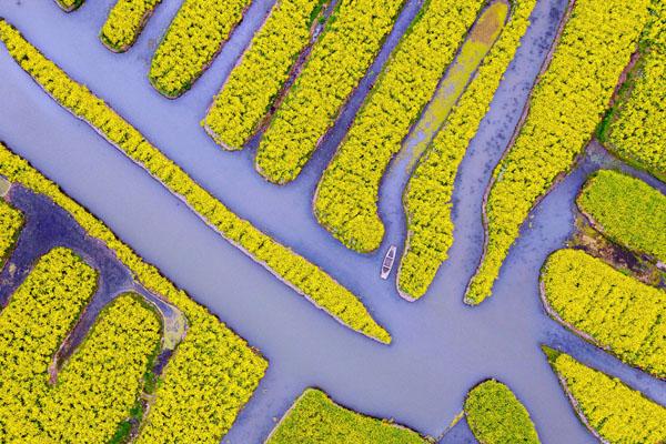 興化千垛景區(qū)門票優(yōu)惠政策2024 興化千垛景區(qū)門票優(yōu)惠政策2024