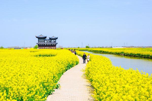 興化千垛景區(qū)門票優(yōu)惠政策2024 興化千垛景區(qū)門票優(yōu)惠政策2024