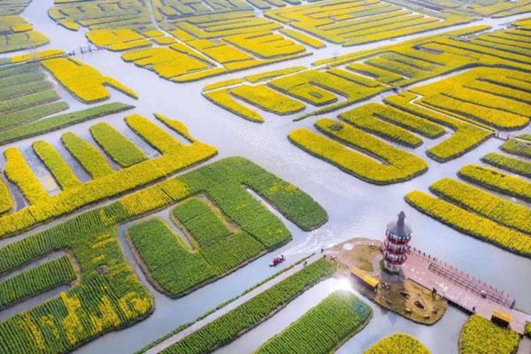 興化千垛景區(qū)門票優(yōu)惠政策2024 興化千垛景區(qū)門票優(yōu)惠政策2024