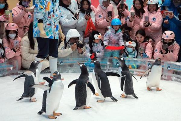 2024正佳企鵝冰雪世界門票優(yōu)惠政策 2024正佳企鵝冰雪世界門票優(yōu)惠政策