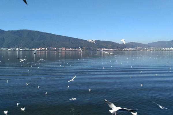 三月份云南旅游必去的景點(diǎn) 三月份云南旅游必去的景點(diǎn)