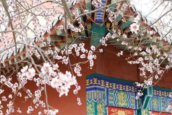 2024天津運河桃花節(jié)在哪里舉行 2024天津運河桃花節(jié)在哪里舉行