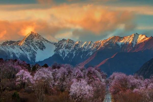 2024林芝桃花節(jié)時間 林芝桃花賞花攻略 2024林芝桃花節(jié)時間 林芝桃花賞花攻略