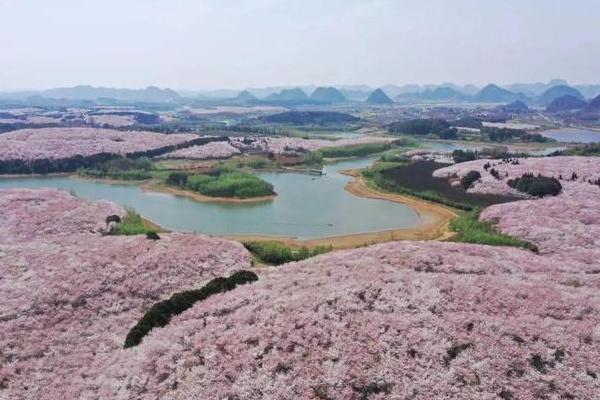 貴陽春季賞花地點(diǎn)有哪些