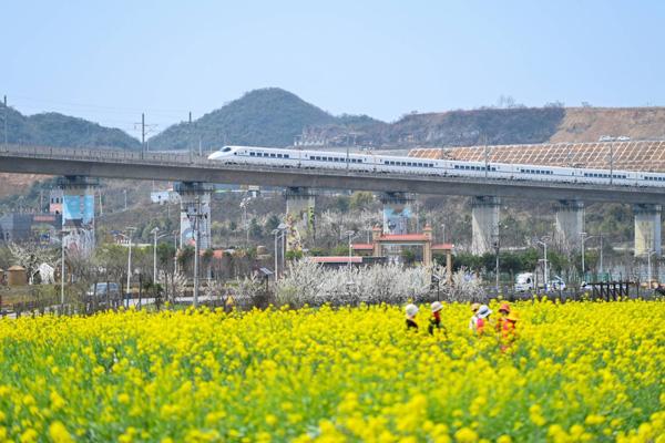 貴陽油菜花去哪看 貴陽油菜花去哪看