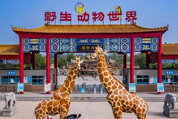 2024濱河野生動物世界門票優(yōu)惠政策 2024濱河野生動物世界門票優(yōu)惠政策