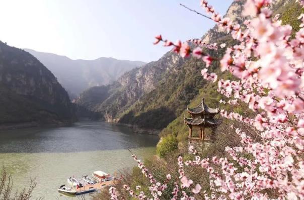 2024鄭國渠山野桃花節(jié)時間及地點 2024鄭國渠山野桃花節(jié)時間及地點