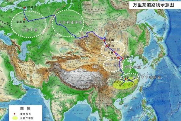 2024年湖北省博物館都有哪些展覽看 2024年湖北省博物館都有哪些展覽看