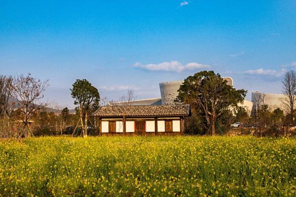 福州哪里可以看到油菜花 福州哪里可以看到油菜花