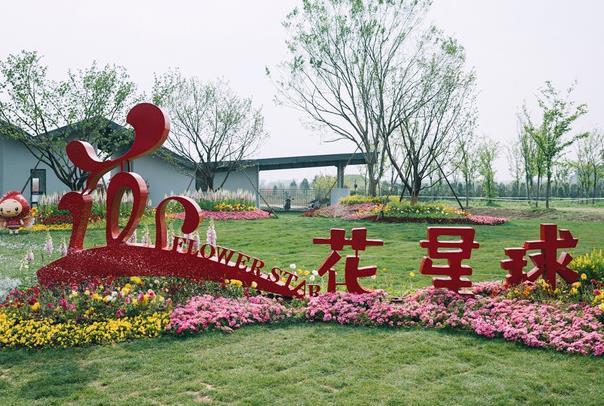 無錫春天哪里好玩 無錫春天哪里好玩