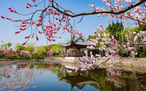 無錫春天哪里好玩 無錫春天哪里好玩