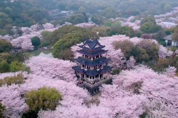 無錫春天哪里好玩 無錫春天哪里好玩