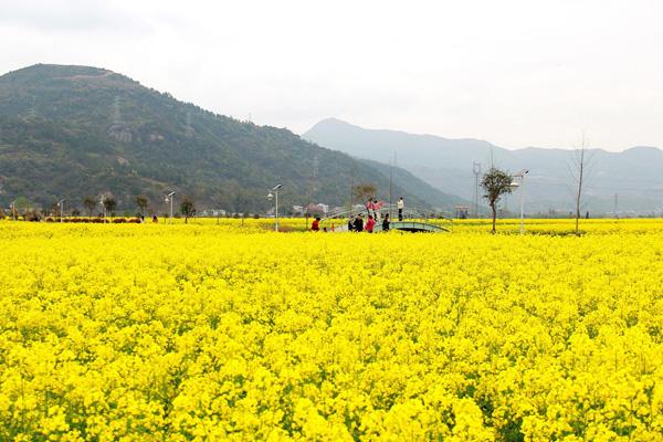 溫州適合放風箏的地方 溫州適合放風箏的地方