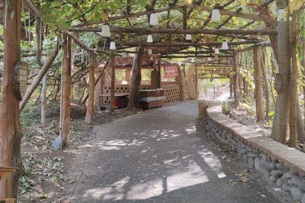 葡萄溝景區(qū)終身免票政策 葡萄溝景區(qū)終身免票政策