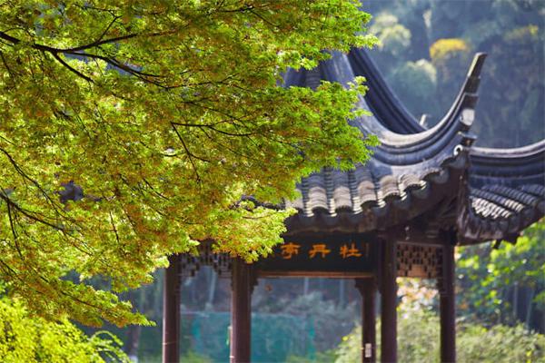 昆山亭林園游玩攻略一日游 昆山亭林園游玩攻略一日游