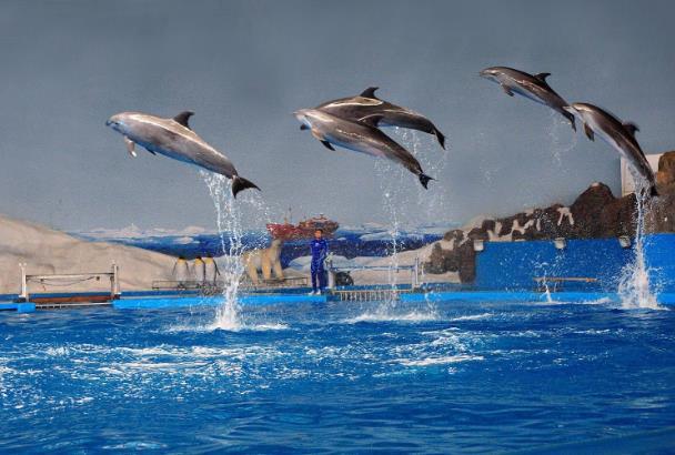 青島周末帶孩子去哪玩 青島周末帶孩子去哪玩